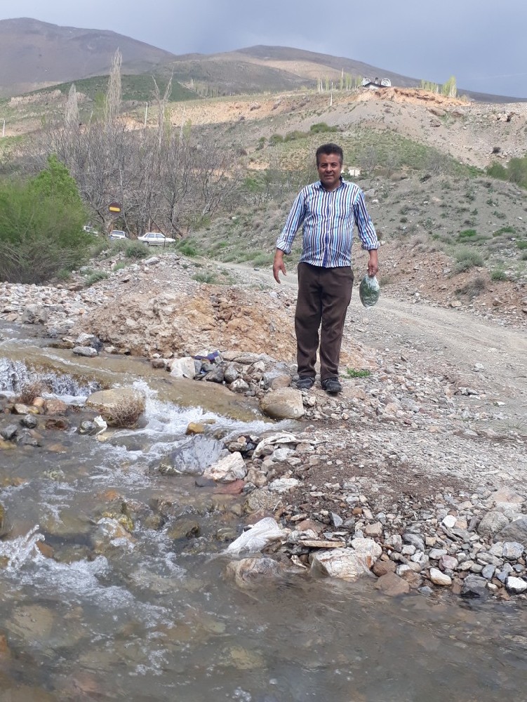محمدرضا ابراهیمی