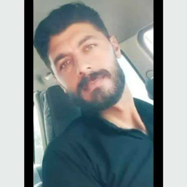محمود بیات
