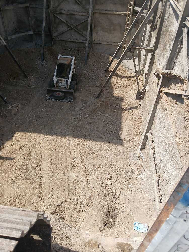رضا سیاوشی