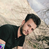 هادی بهارلو