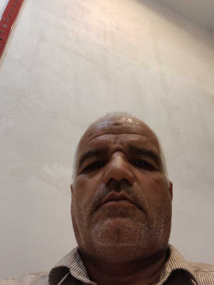 سید محمد رضا سجادی شهری