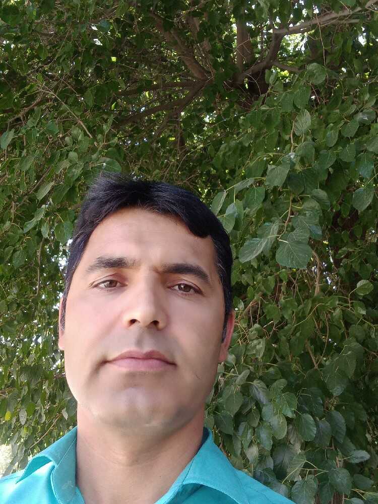 محمدهادی زارعی