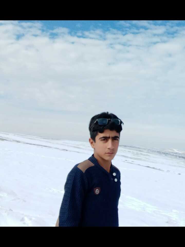 محمد علیپور