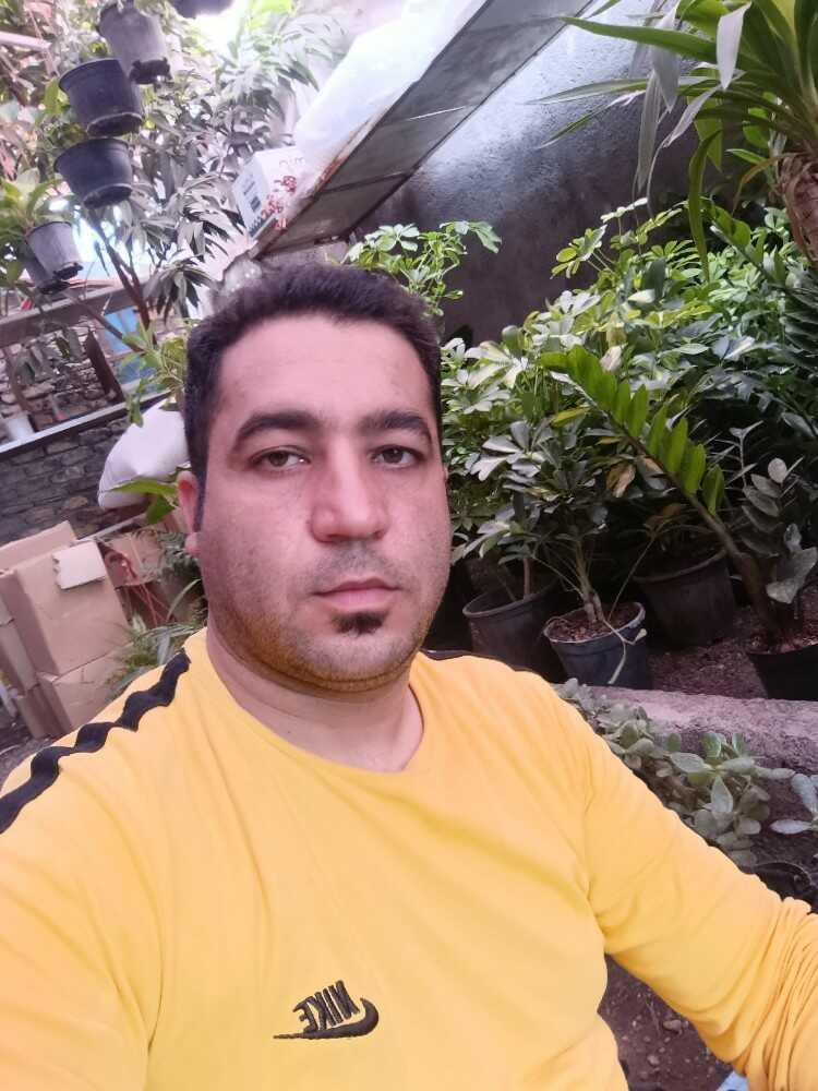 Mostafa Moghimi