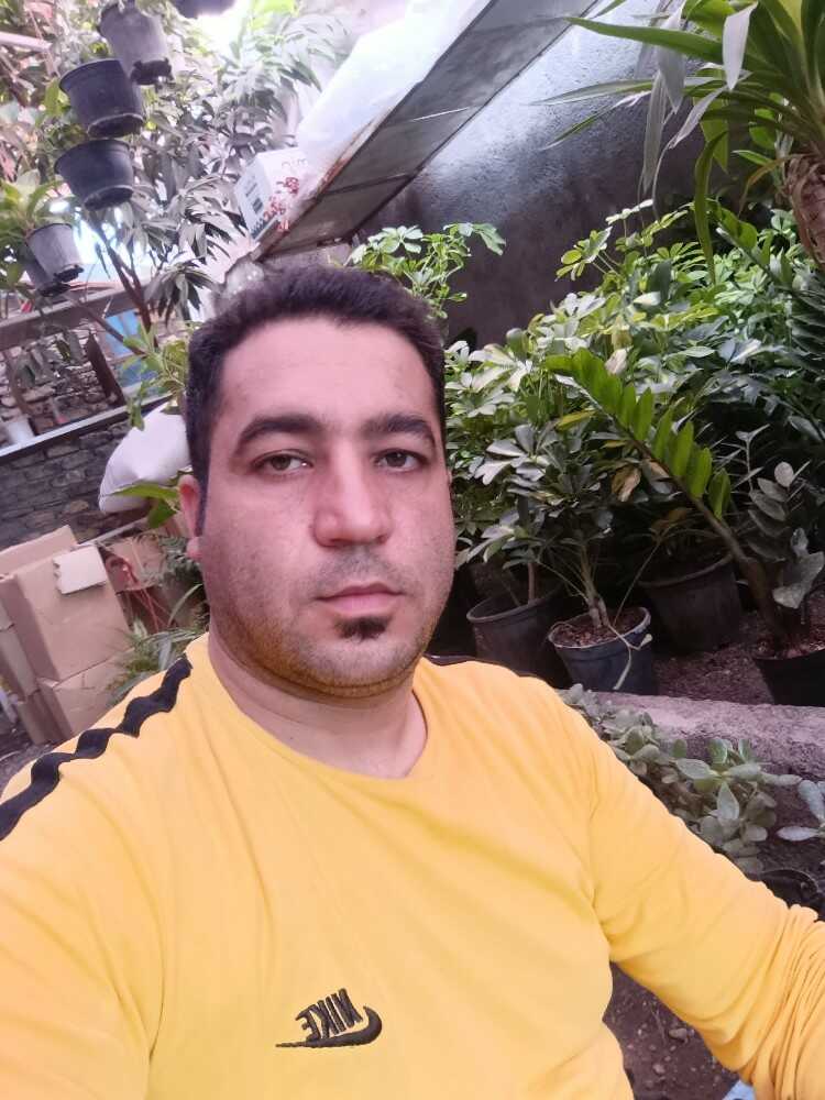 Mostafa Moghimi