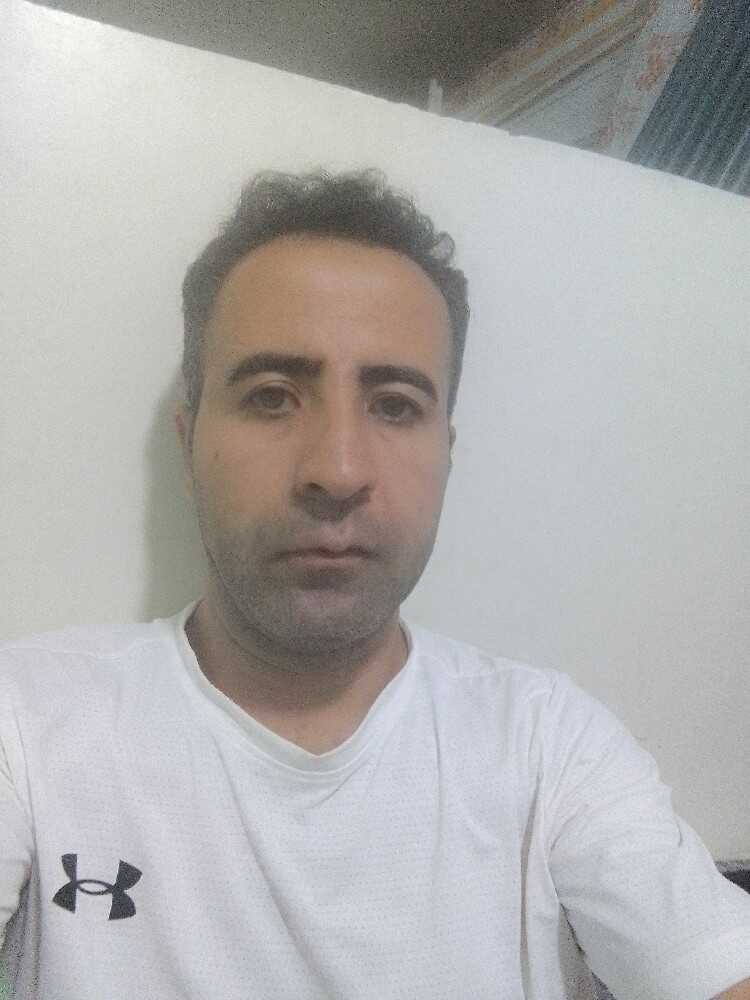 محمود نوروزی
