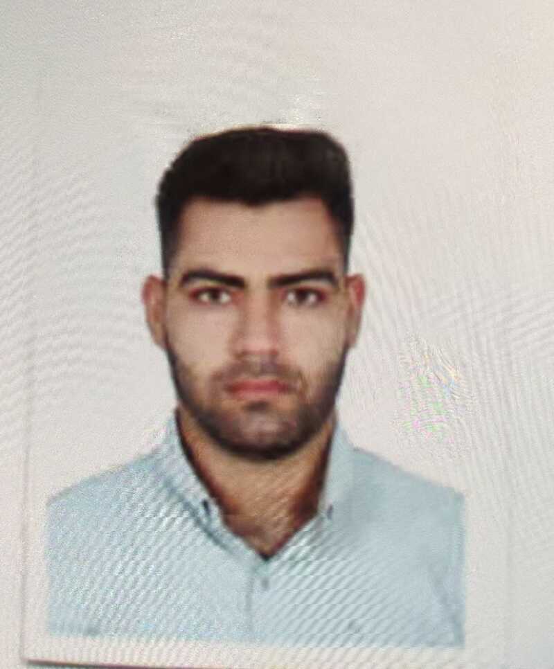 رامین ترکی