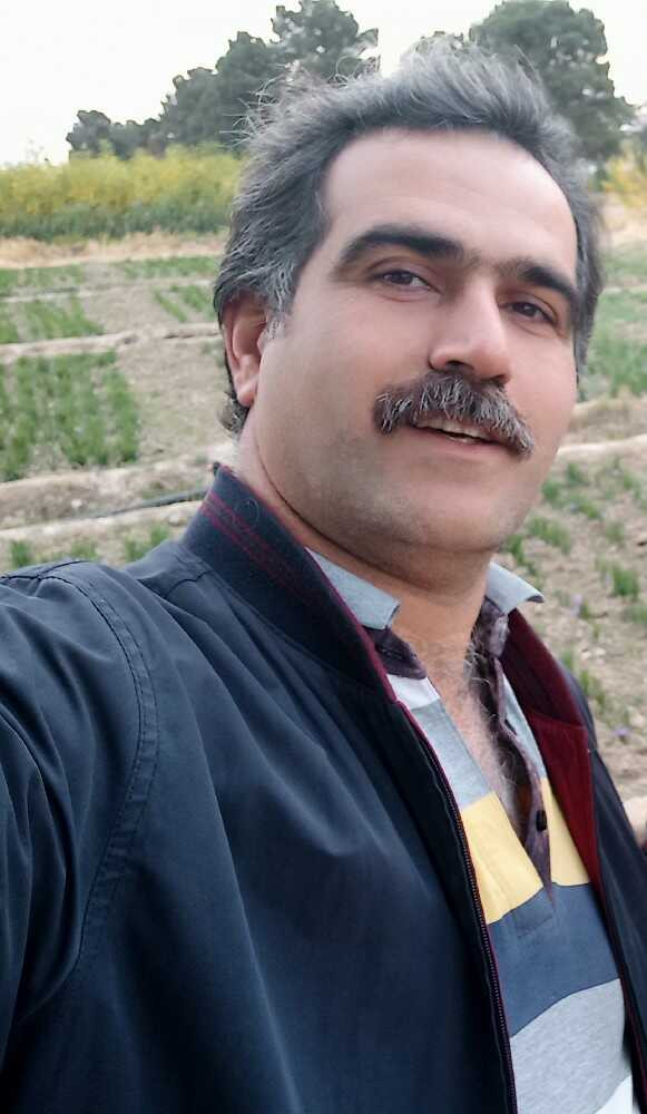 Hamidreza Ahmadi