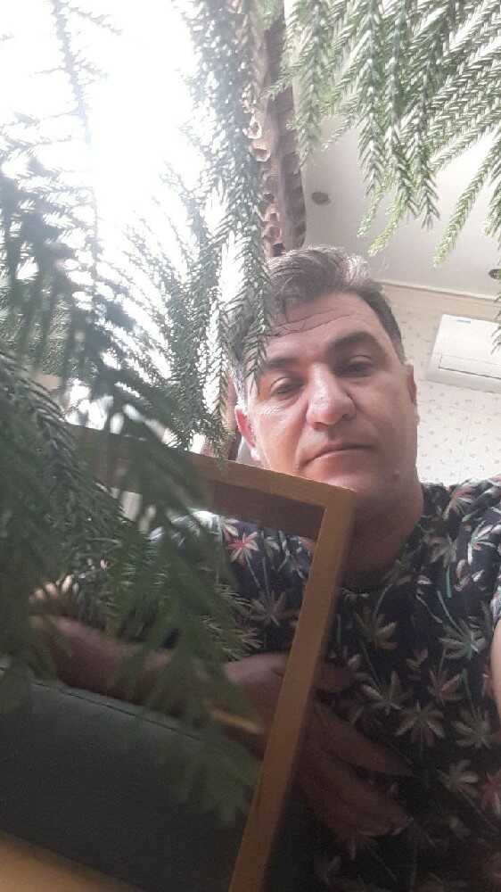 حمید موسوی