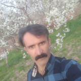 Mohamad Teimori
