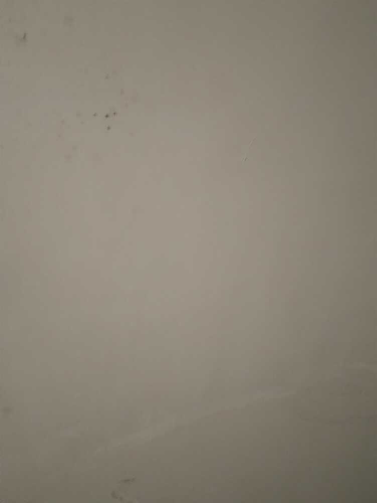 علیرضا رستمی