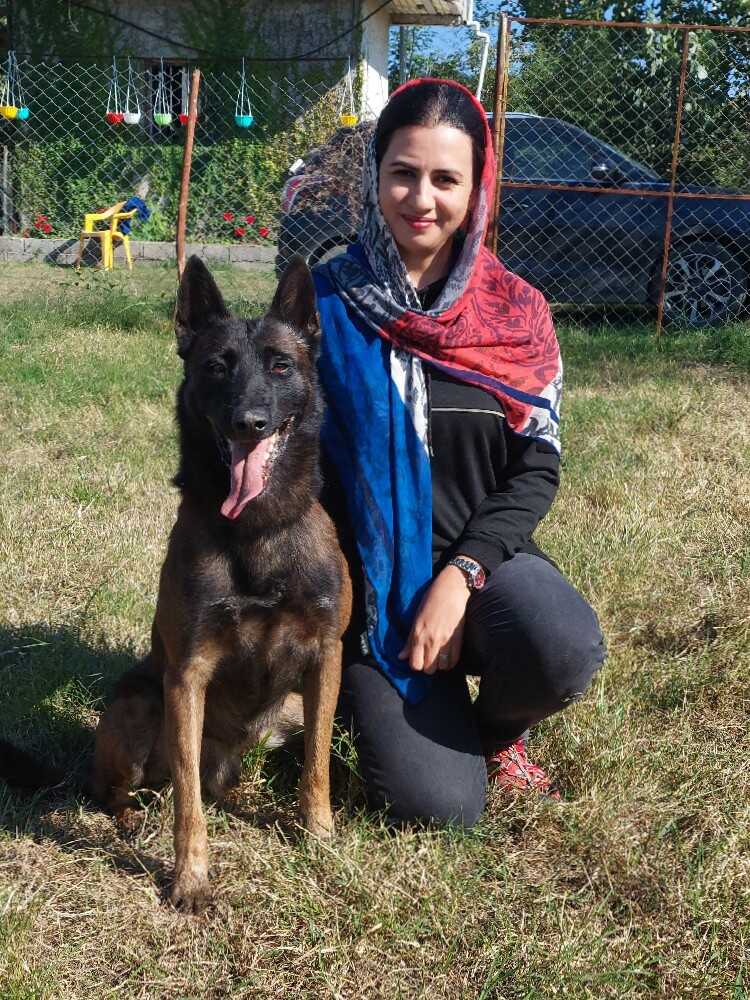 مهرنوش فرید