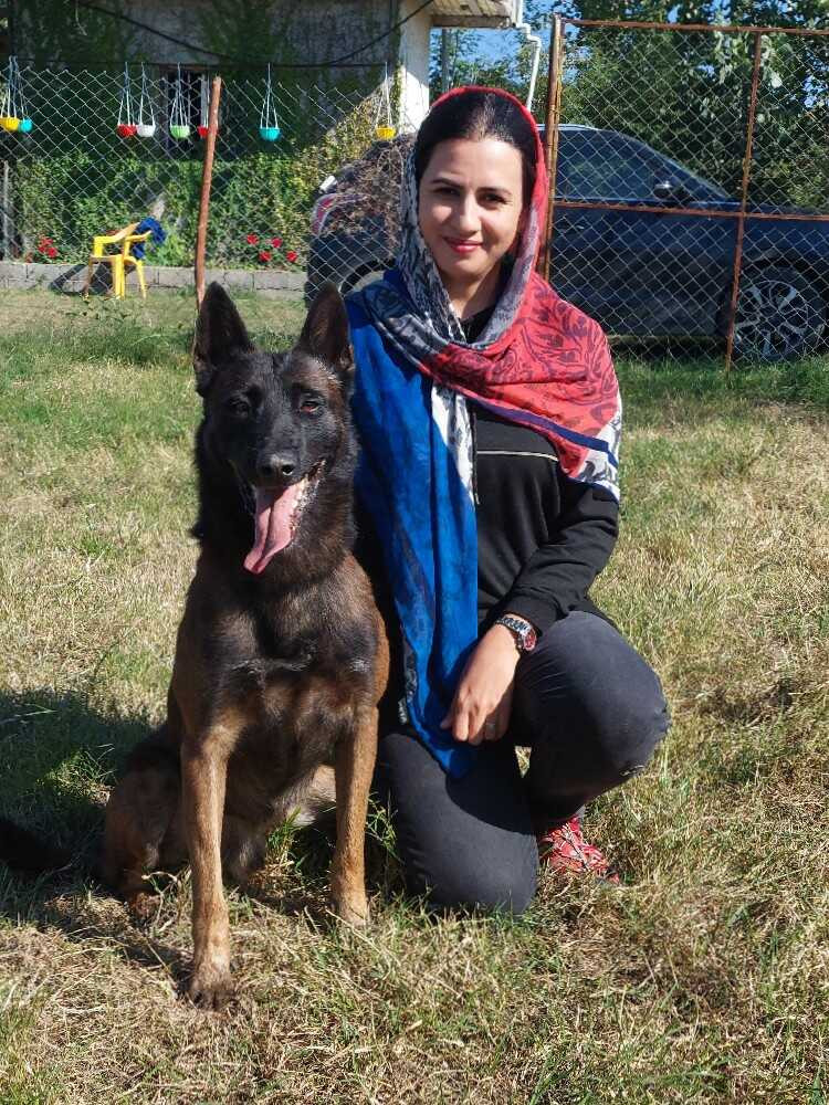 مهرنوش فرید