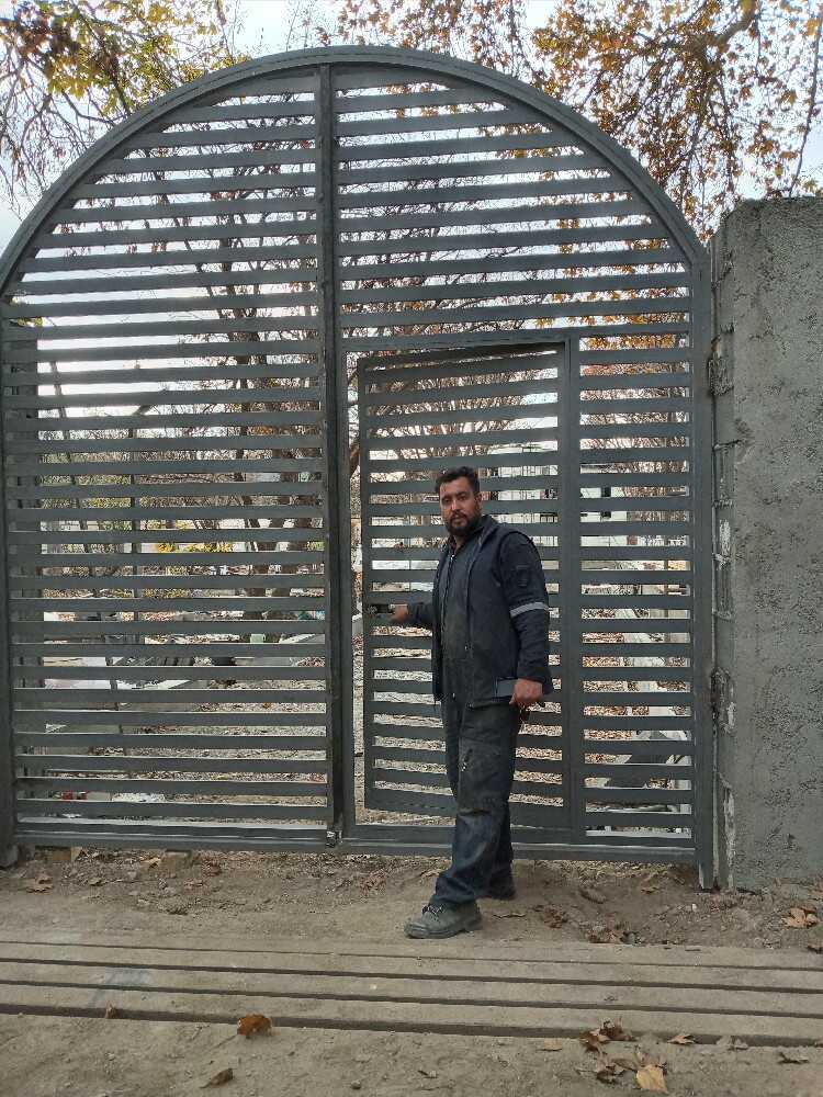محسن حسنی