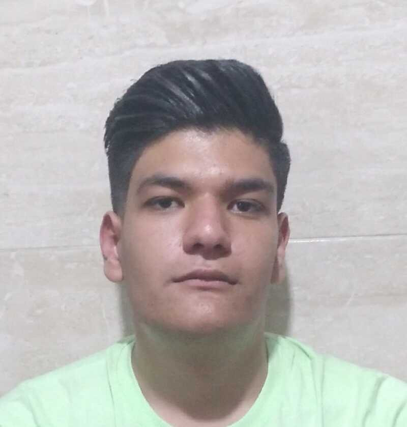 محمدرضا انصاری