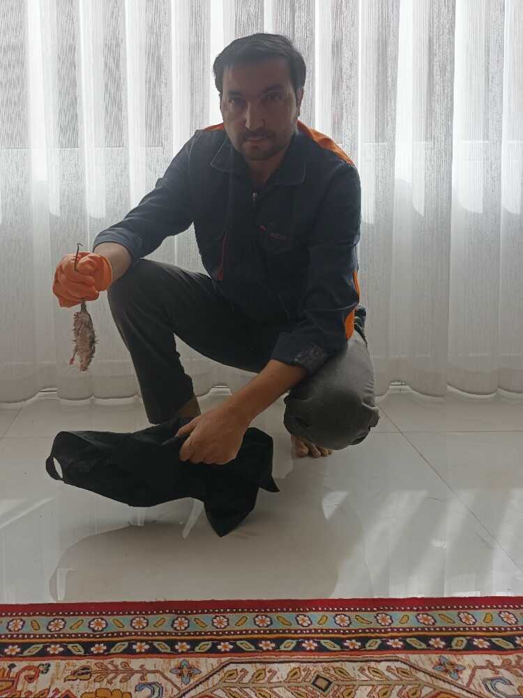 براتعلی چراغی