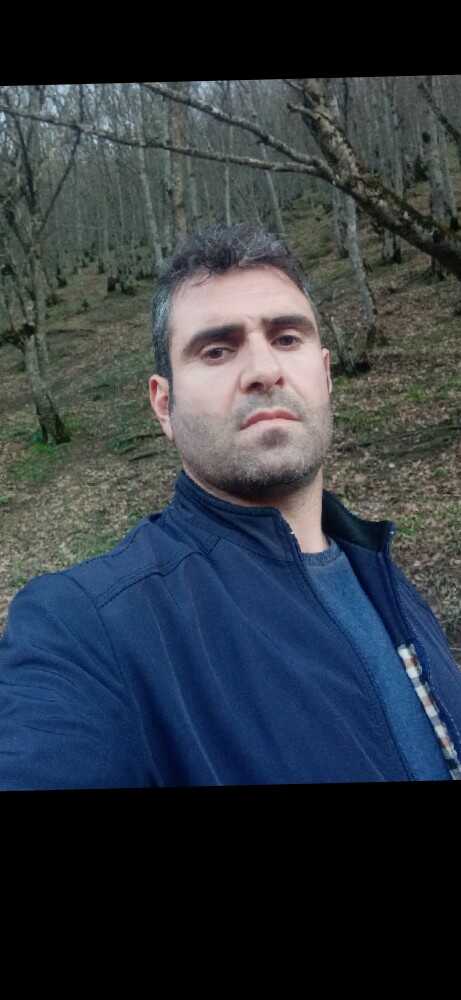 علی طالبی