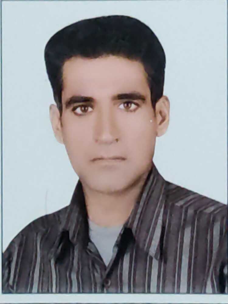 حسین زرین کرفتی