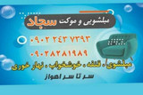 سجاد عیسی نژاد