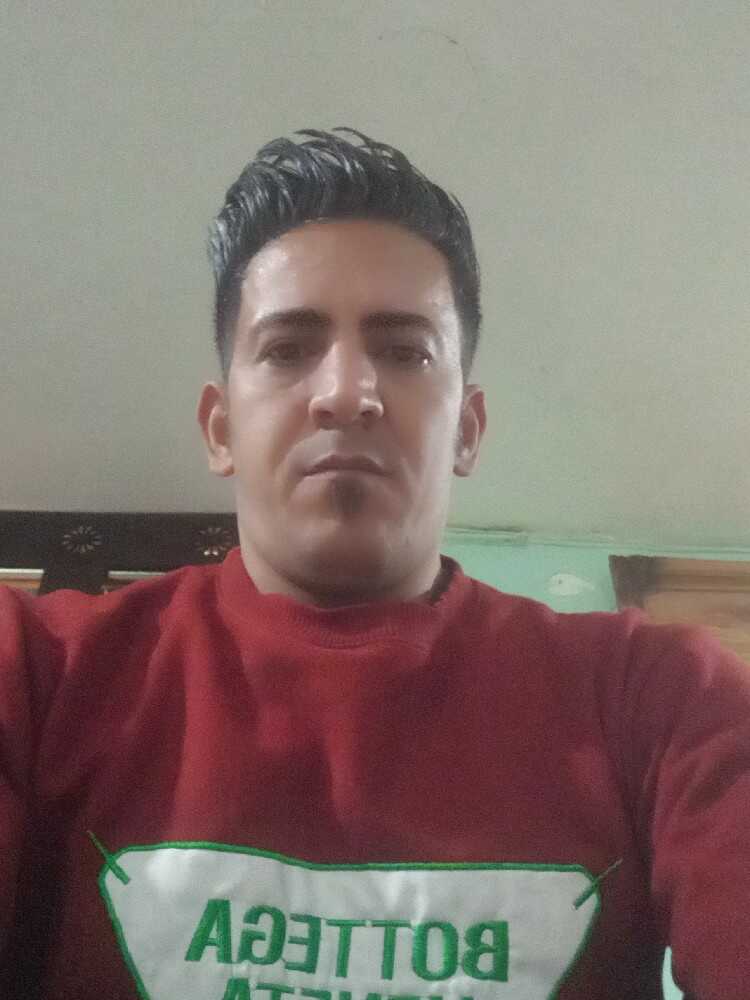 حمید نویدی