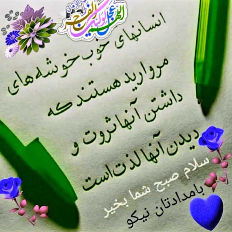 زینب کروشالی