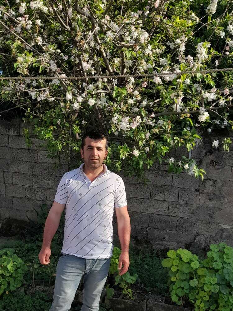 همت محمدنژاد
