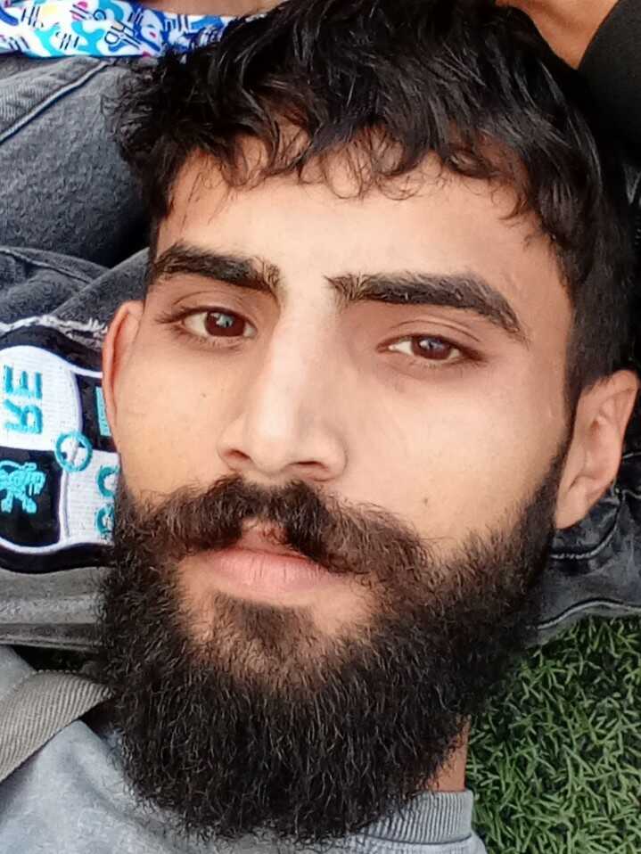سینا شیخی
