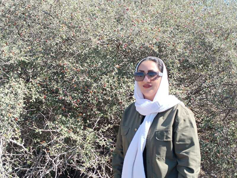 فاطمه دهقان