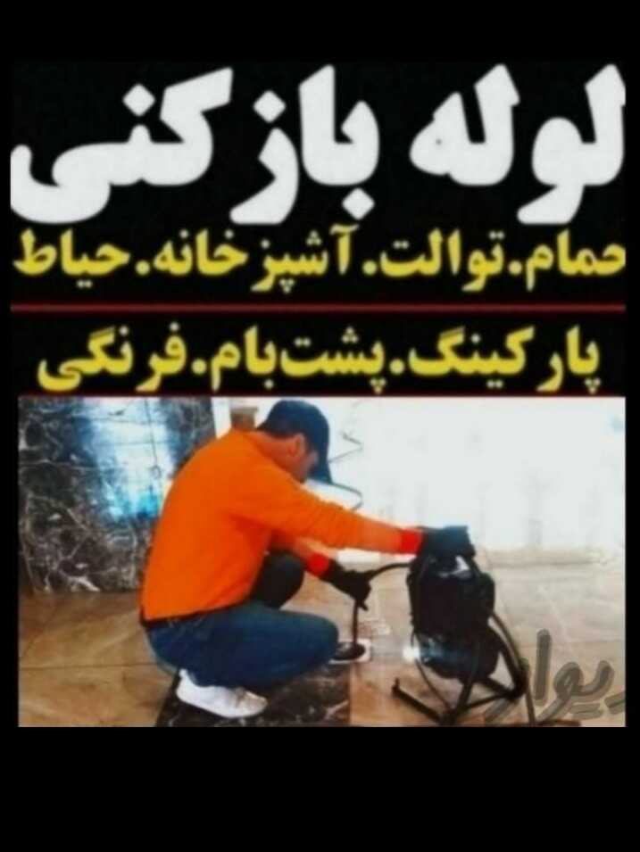 میثم طالبی