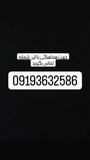 مسعود حاتمی