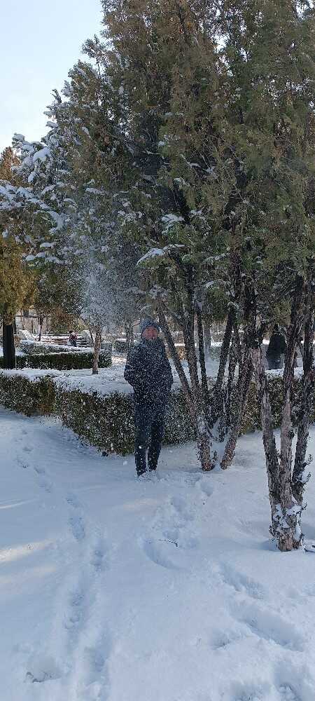 سیدمحسن حسینی