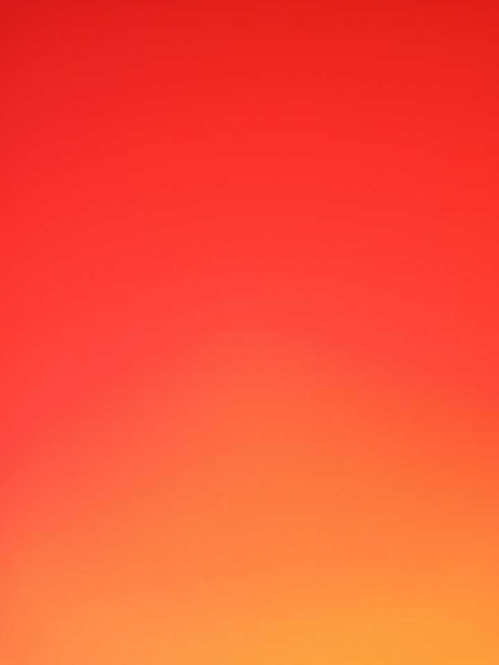 علی رضائی