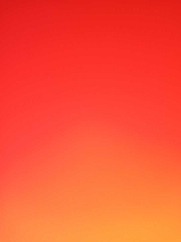 علی رضائی