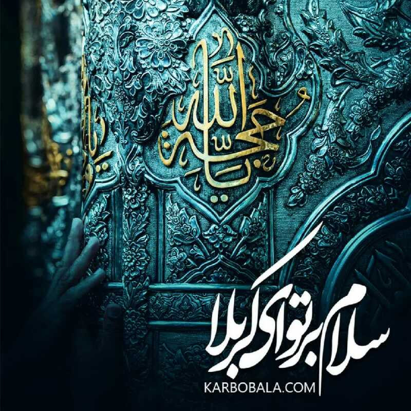 راضیه شکری