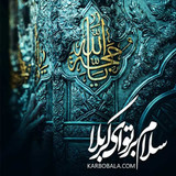 راضیه شکری