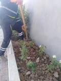 محمد امیری مطلق