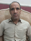 رضا بشیری امینی