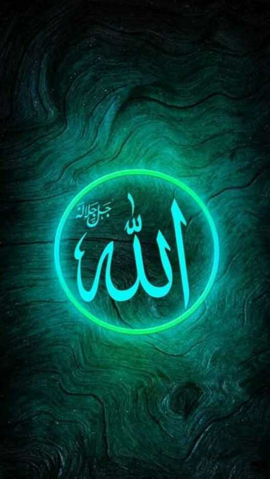 ابولفضل پرتوی