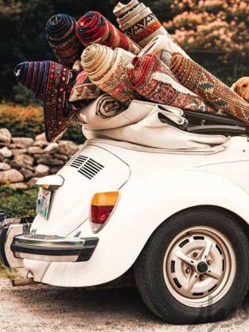 provider user card avatar