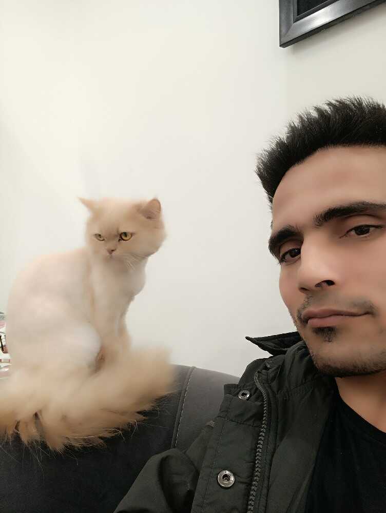 جهانگیر روحی