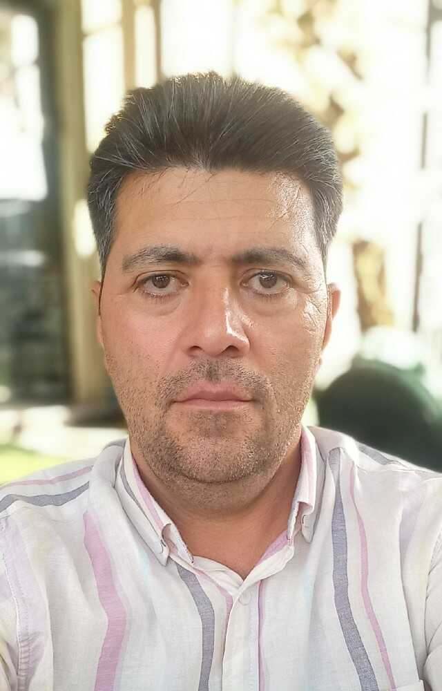 رضا هادی