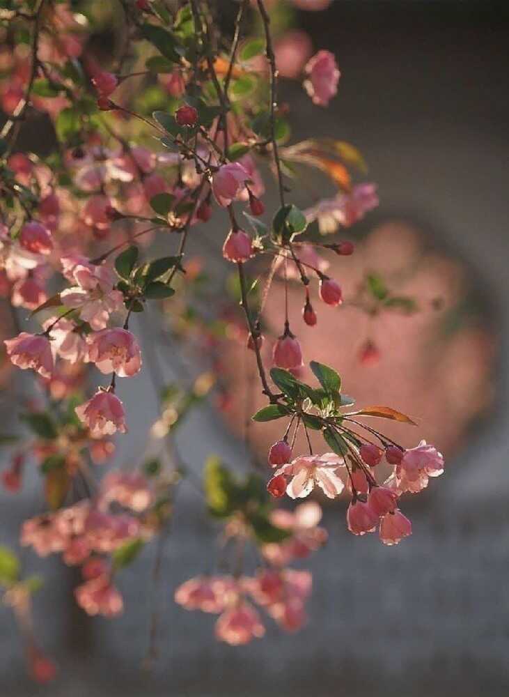 فاطمه نوری دهنوی