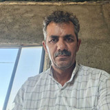 داریوش اکبری