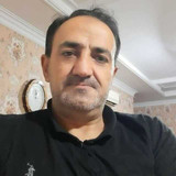 مرتضی پاپی