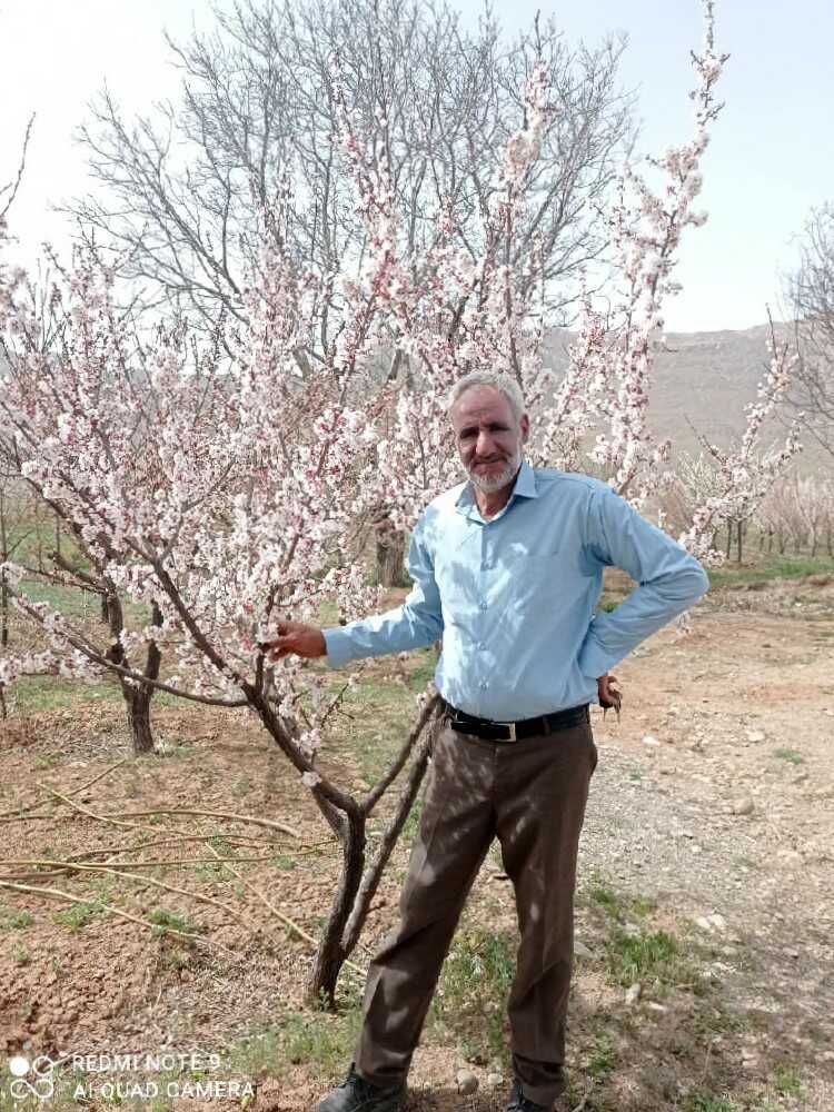علیرضا محبی