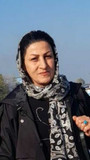فیروزه نعمتی زاده
