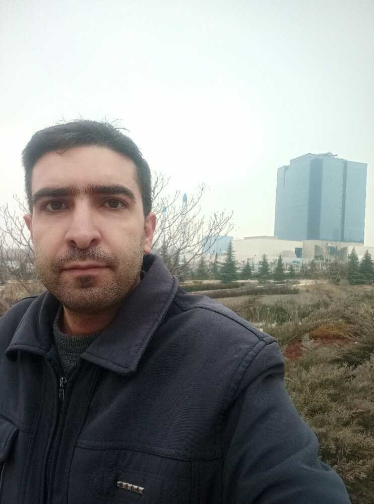 محمد تیموری