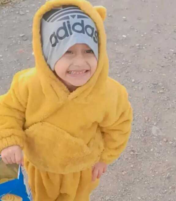 امیر محمدی نردین