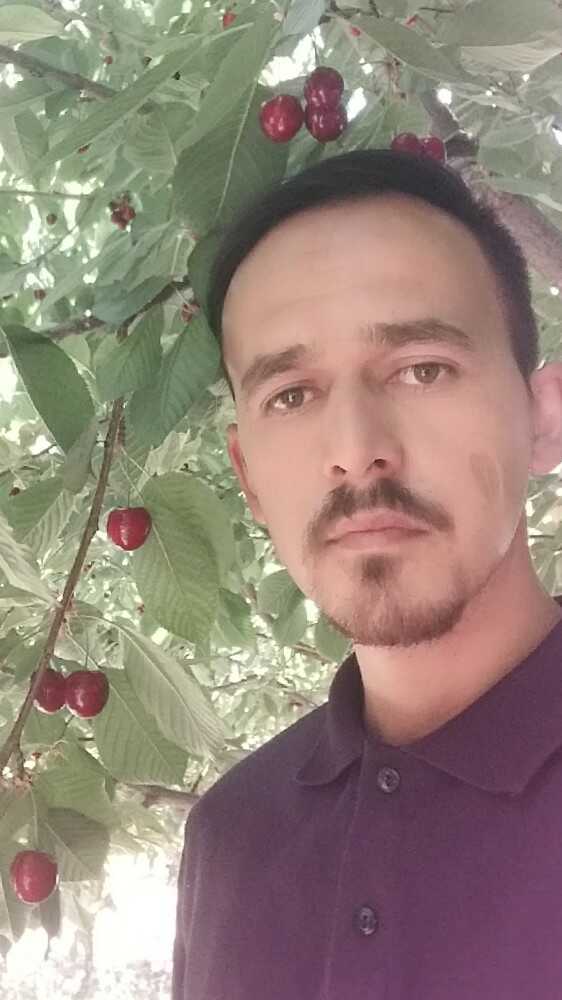 محمد نیک کردار