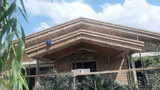 قاسم شیرسوار